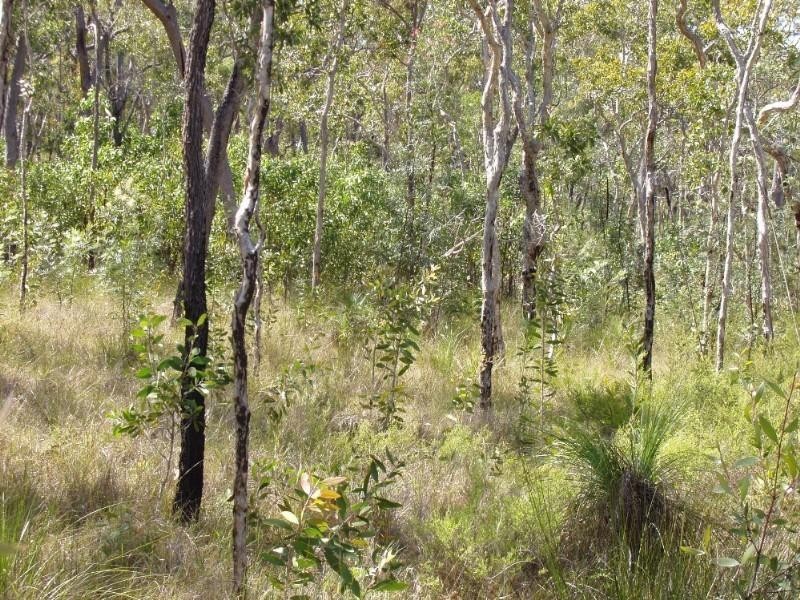 Captain Creek QLD 4677