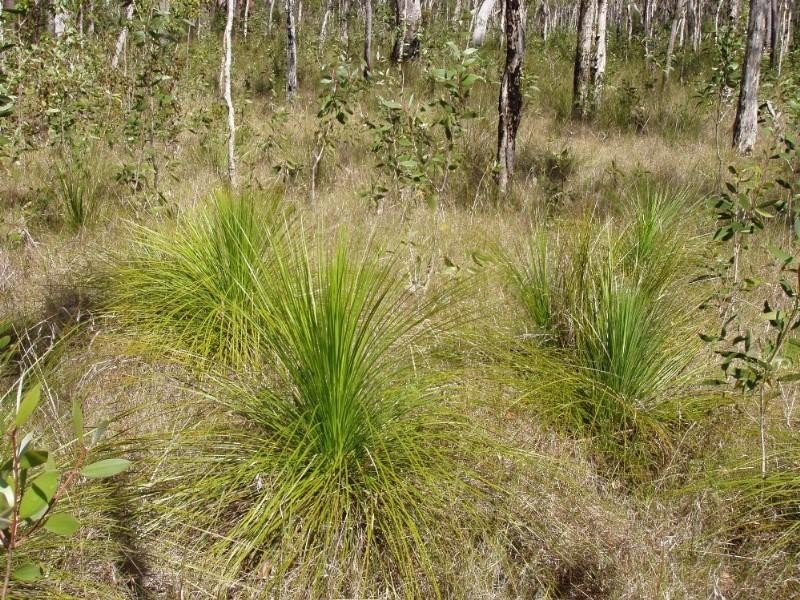 Captain Creek QLD 4677