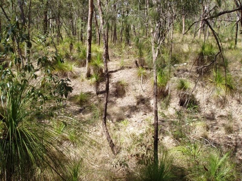 Captain Creek QLD 4677