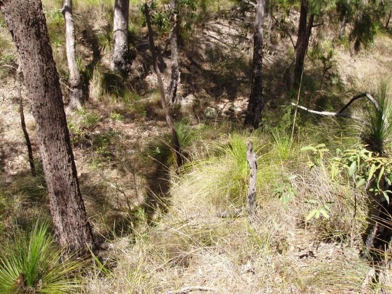 Captain Creek QLD 4677