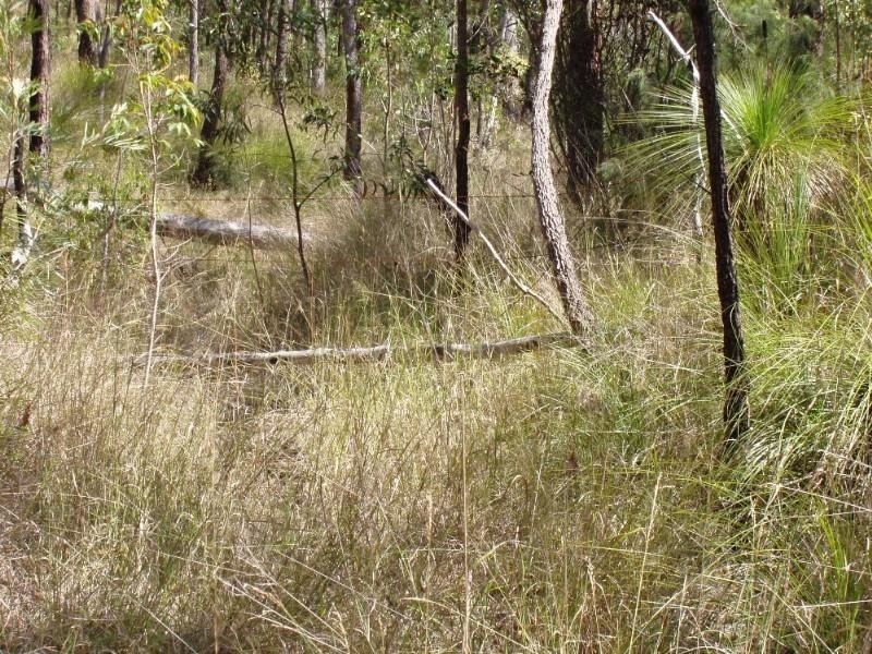 Captain Creek QLD 4677