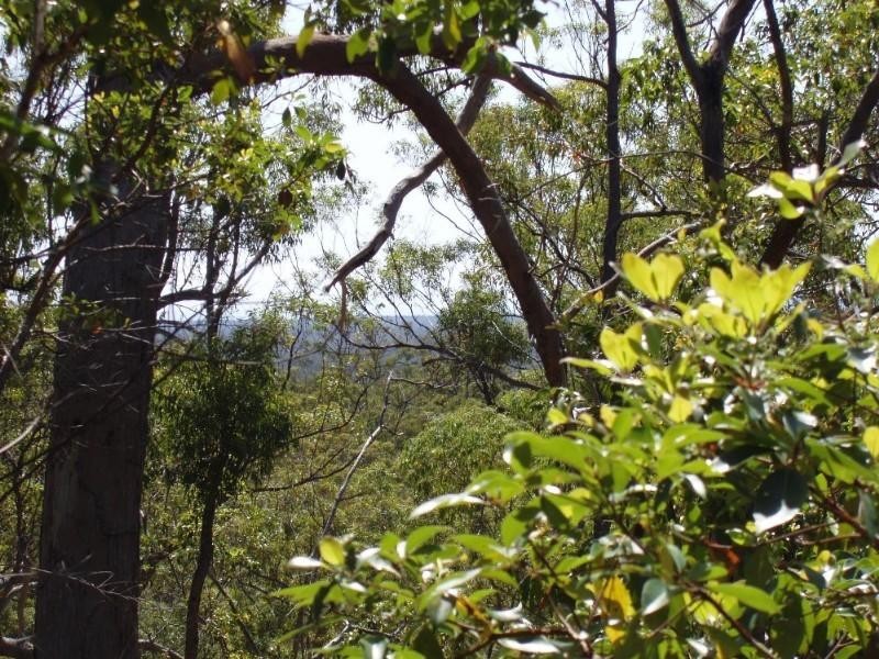 Captain Creek QLD 4677