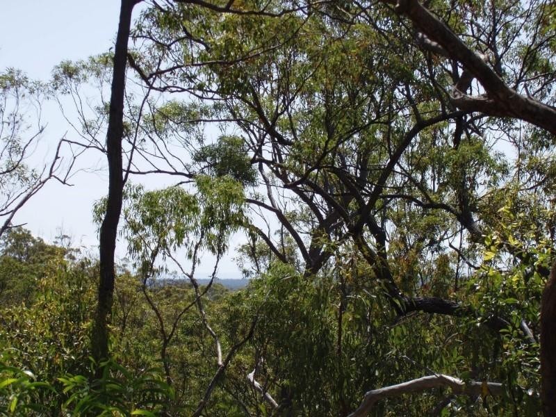 Captain Creek QLD 4677