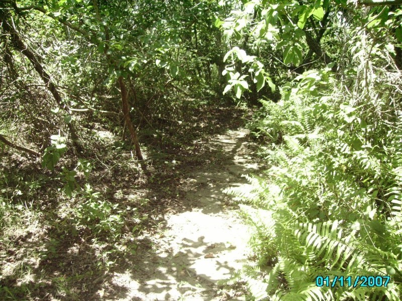 Baffle Creek QLD 4674