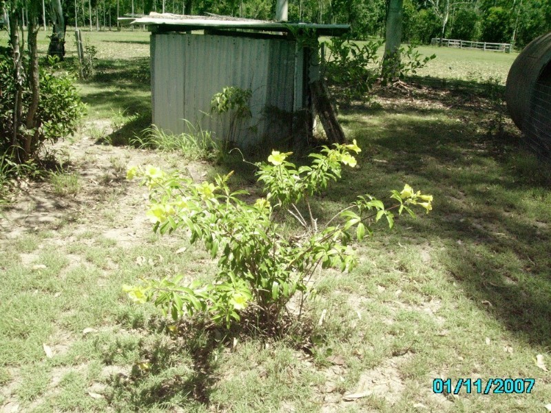 Baffle Creek QLD 4674