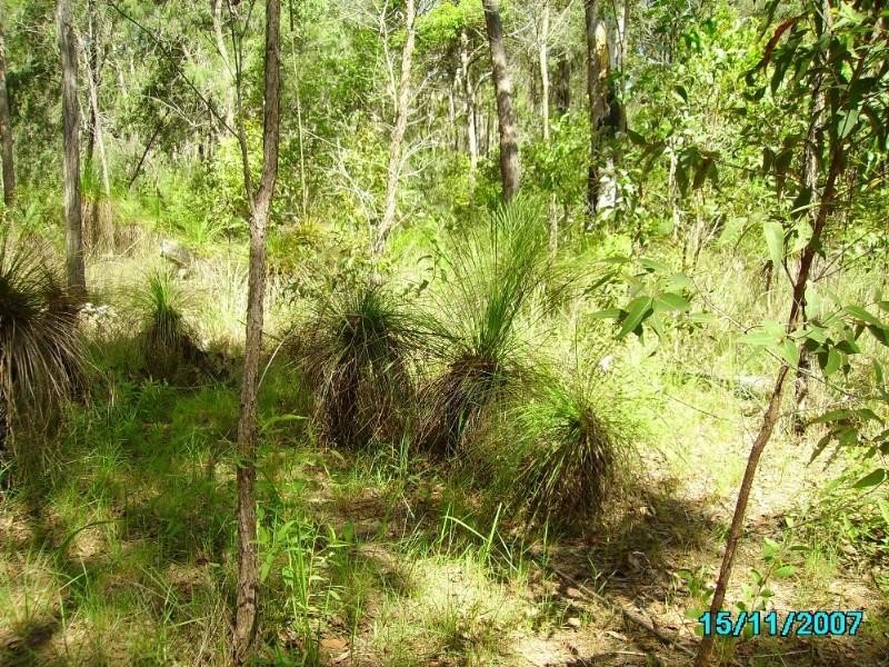 Captain Creek QLD 4677