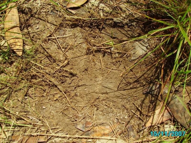 Captain Creek QLD 4677