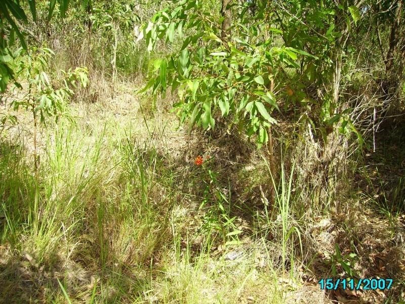 Captain Creek QLD 4677