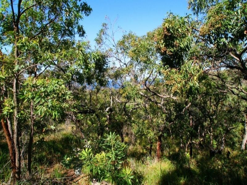 Agnes Water QLD 4677