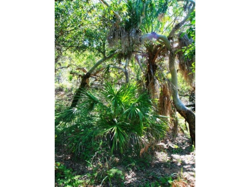 Agnes Water QLD 4677