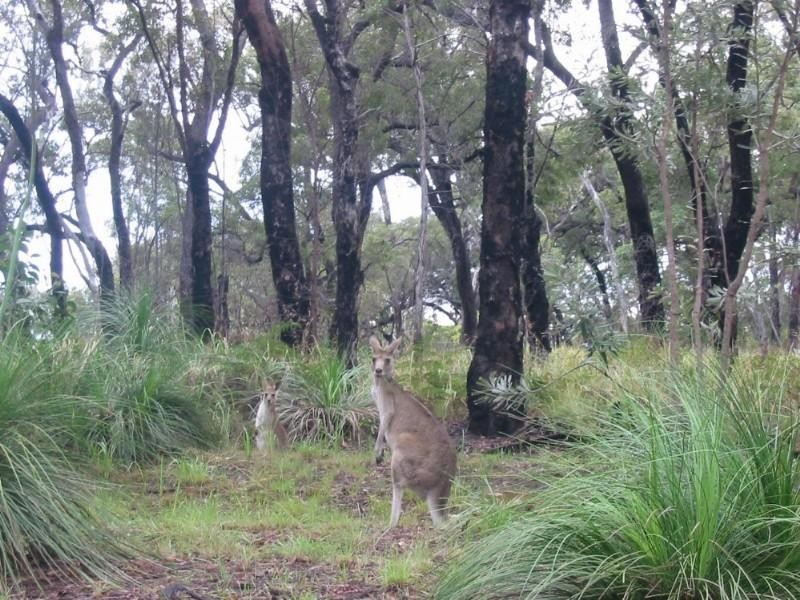 Agnes Water QLD 4677