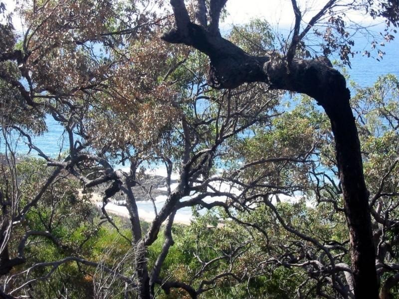 Agnes Water QLD 4677