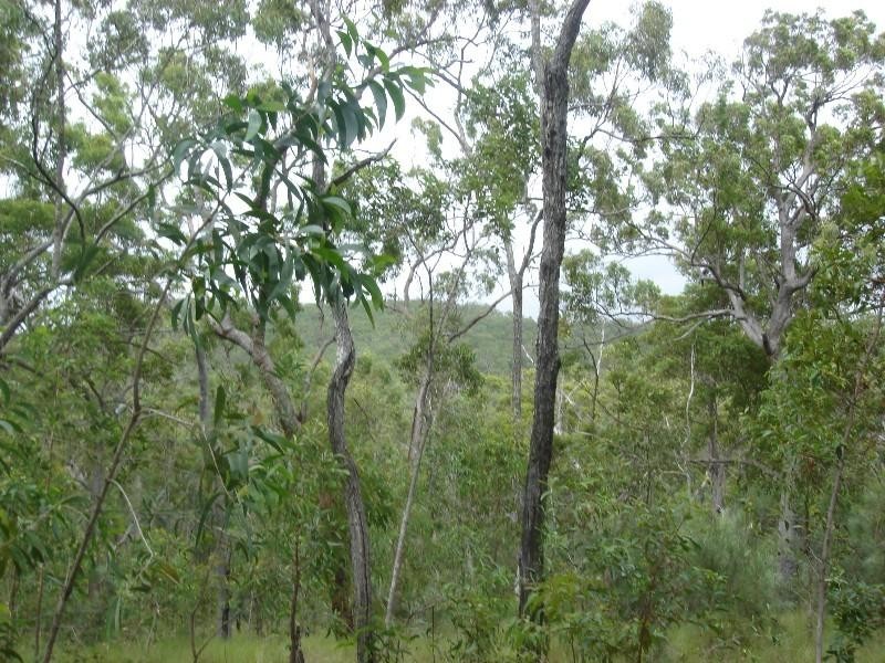 Captain Creek QLD 4677