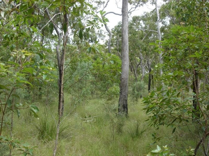 Captain Creek QLD 4677