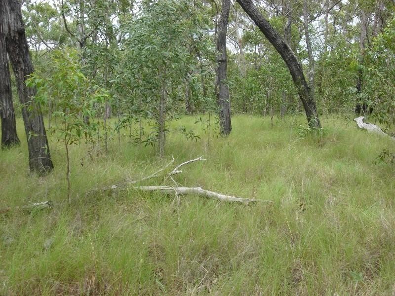 Captain Creek QLD 4677