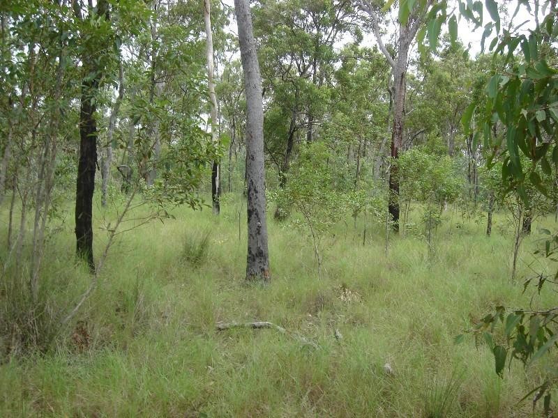 Captain Creek QLD 4677