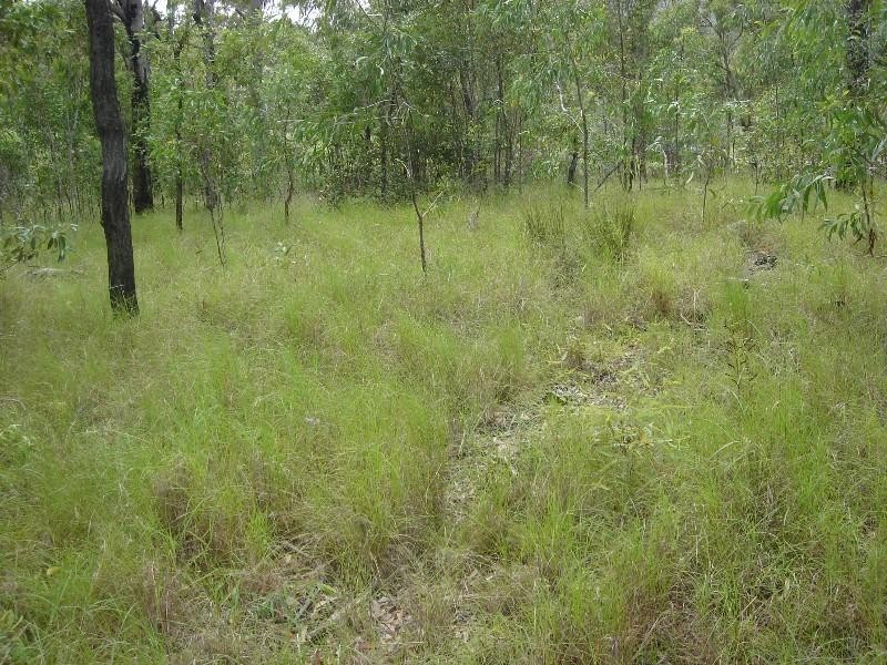 Captain Creek QLD 4677