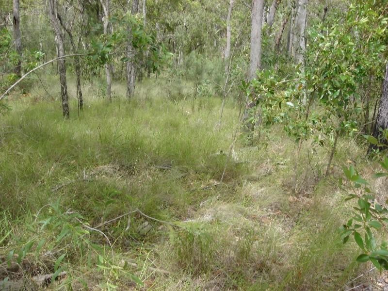 Captain Creek QLD 4677