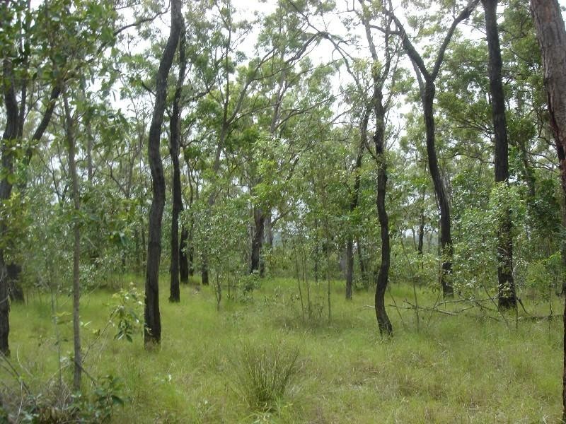 Captain Creek QLD 4677