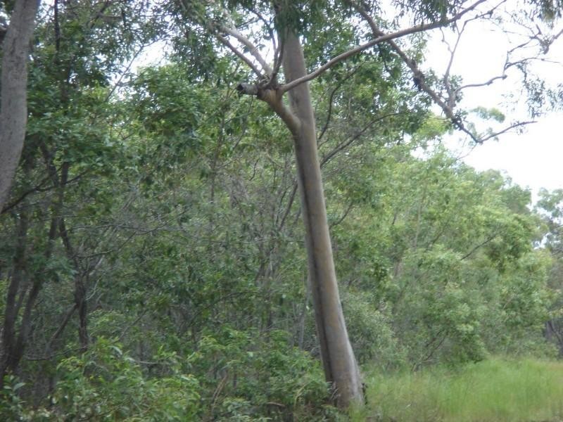 Agnes Water QLD 4677