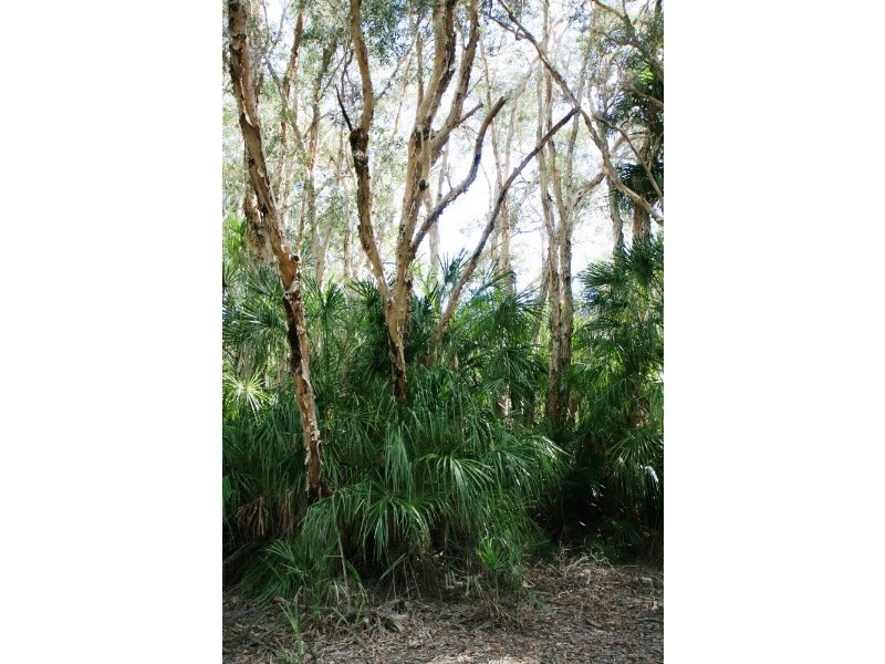 Agnes Water QLD 4677