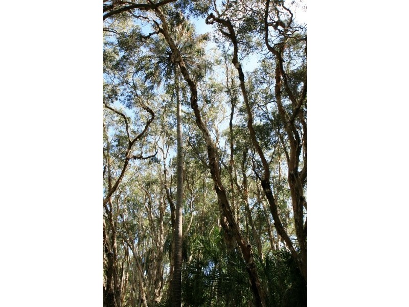 Agnes Water QLD 4677