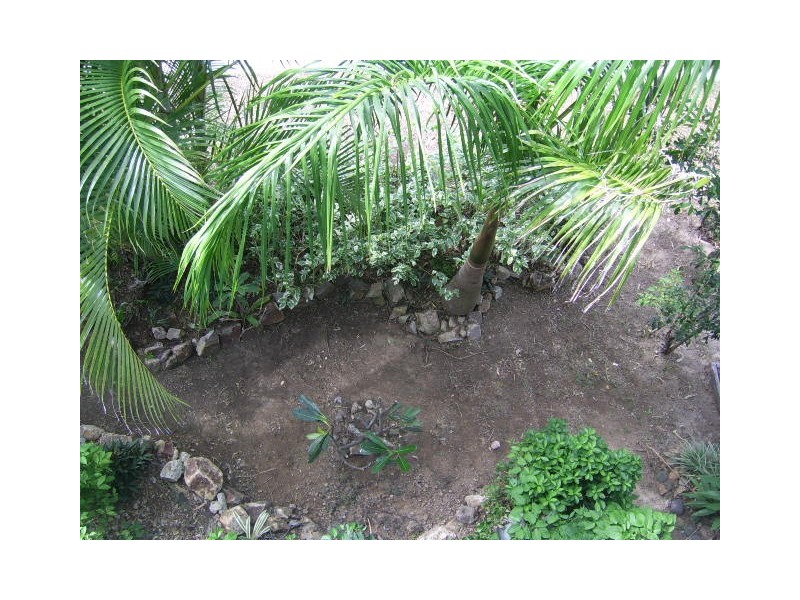 25 Starfish Street, Agnes Water QLD 4677