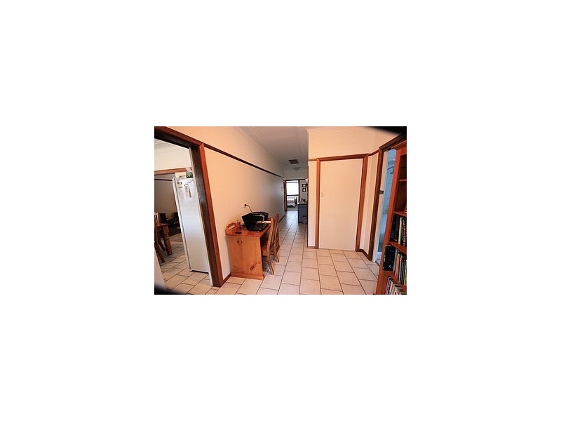 65 Macarthur Road, Elderslie NSW 2570