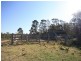 640 Barkers Lodge Road, The Oaks NSW 2570