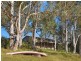 315 ‘Via Vai’ Cut Hill Road, Cobbitty NSW 2570