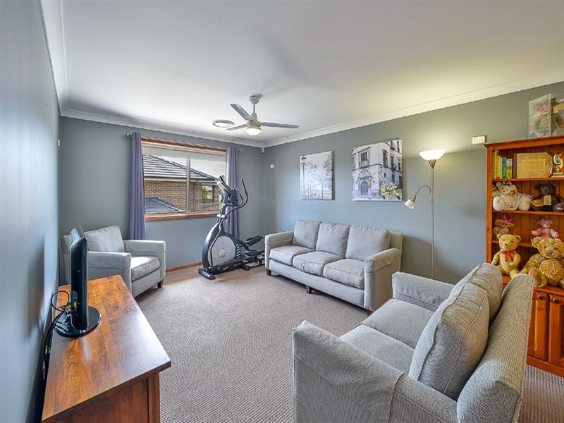 17 Alchornea Circuit, Mount Annan NSW 2567