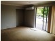 20 Chasselas Avenue, Eschol Park NSW 2558