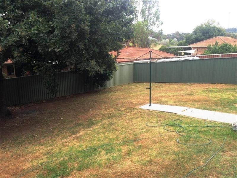 20 Chasselas Avenue, Eschol Park NSW 2558