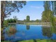 134 Coates Park Road, Cobbitty NSW 2570