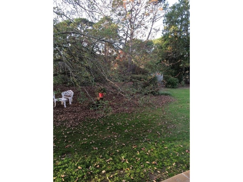 190 Menangle Road, Menangle NSW 2568