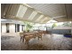 8 Pains Place, Currans Hill NSW 2567