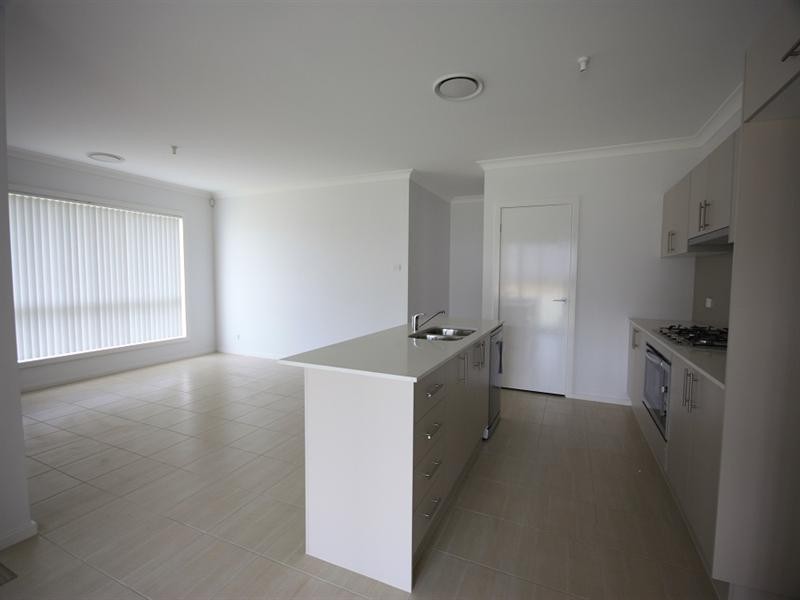 11 Pyrossia Street, Mount Annan NSW 2567