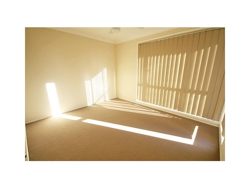 42 Haultain Street, Minto NSW 2566