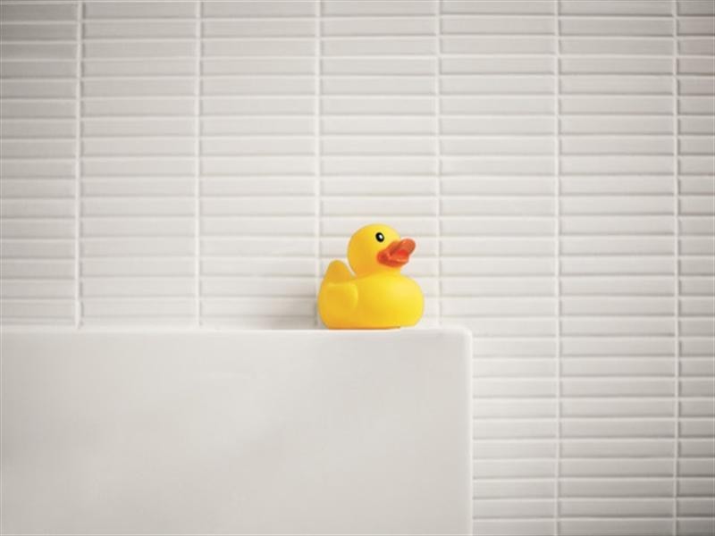 17 Borthwick Street, Minto NSW 2566