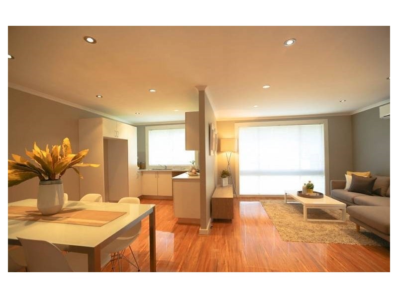 123 Lancia Drive, Ingleburn NSW 2565