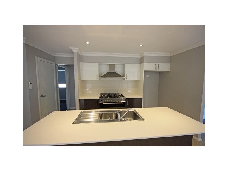 11 Beckham Street, Spring Farm NSW 2570