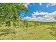 153 Bobs Range Road, Orangeville NSW 2570