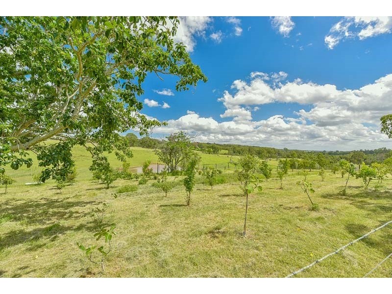 153 Bobs Range Road, Orangeville NSW 2570