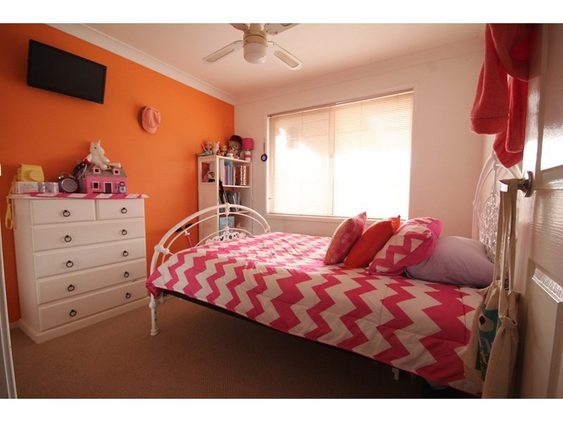 10 David Place, Mount Annan NSW 2567