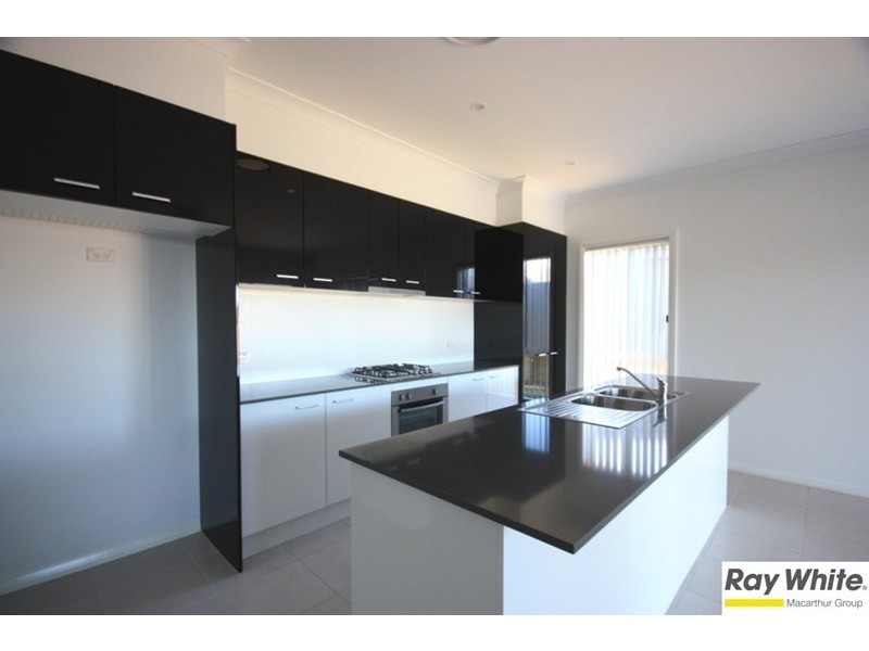 59 Holland Drive, Spring Farm NSW 2570