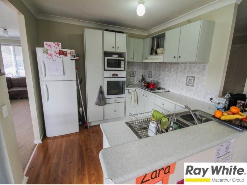 10 David Place, Mount Annan NSW 2567