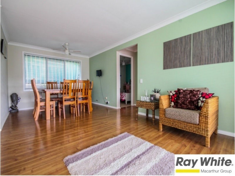 10 David Place, Mount Annan NSW 2567