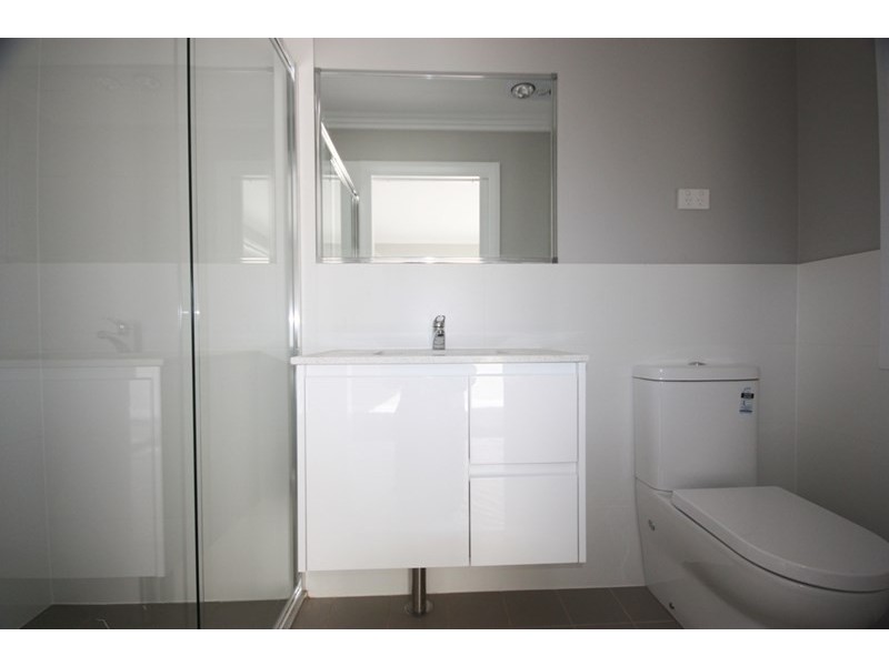 54 Arthur Allen Drive, Ingleburn NSW 2565