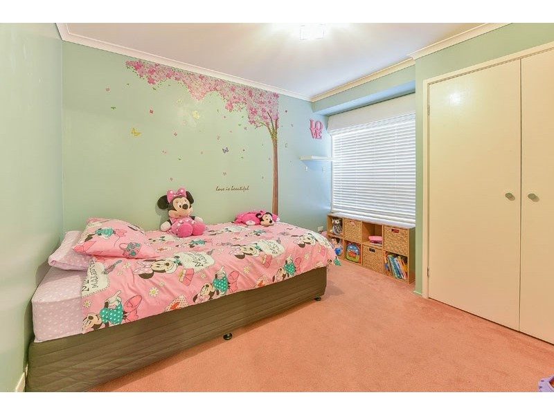 3 Moffat Place, Minto NSW 2566