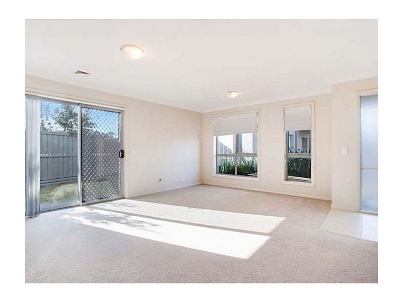 53 Bandara Circuit, Spring Farm NSW 2570